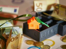 Girolamo Falletta-Real Estate Development